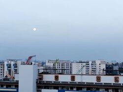 Blk 807A Ping Yi Greens (Bedok), HDB 4 Rooms #591318471